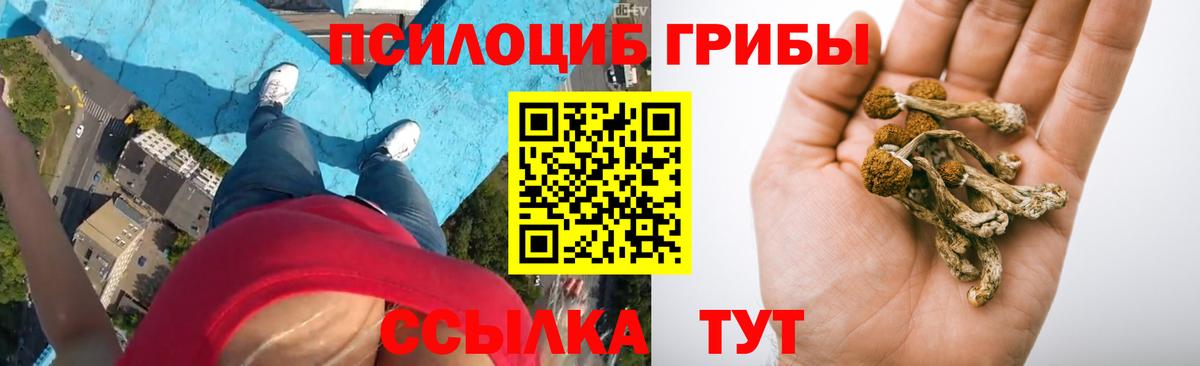 Галлюциногенные грибы GOLDEN TEACHER  Псилоцибиновые грибы ЛСД  Вход с VPN  Чита 
